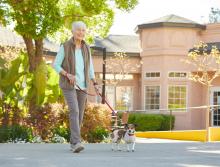 Woman walking her dog