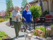 Two women walking three dog