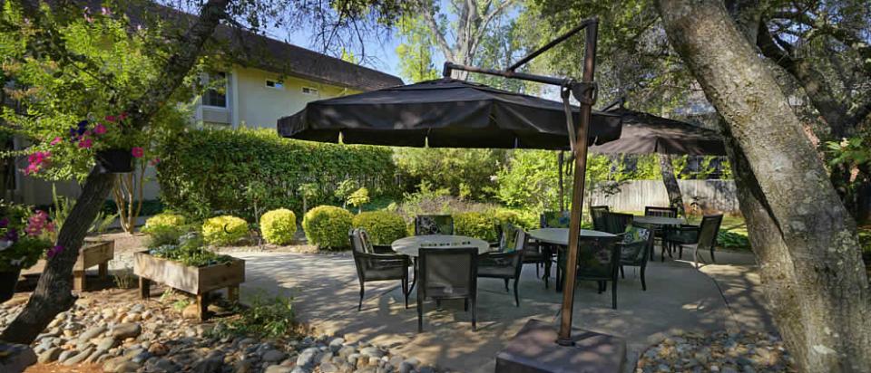 Beautiful shaded patio area with plants, planters, trees and patio table, chairs and umbrella