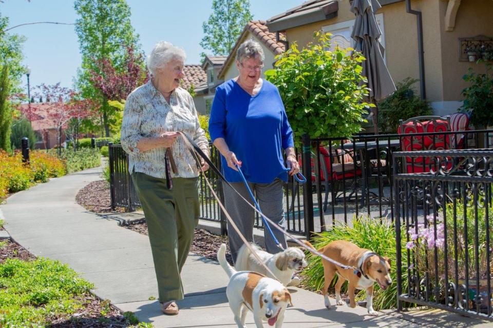 Two women walking three dog