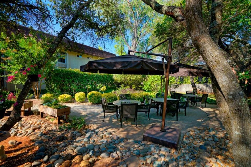 Patio with beautiful trees, plants and patio tables and umbrellas.