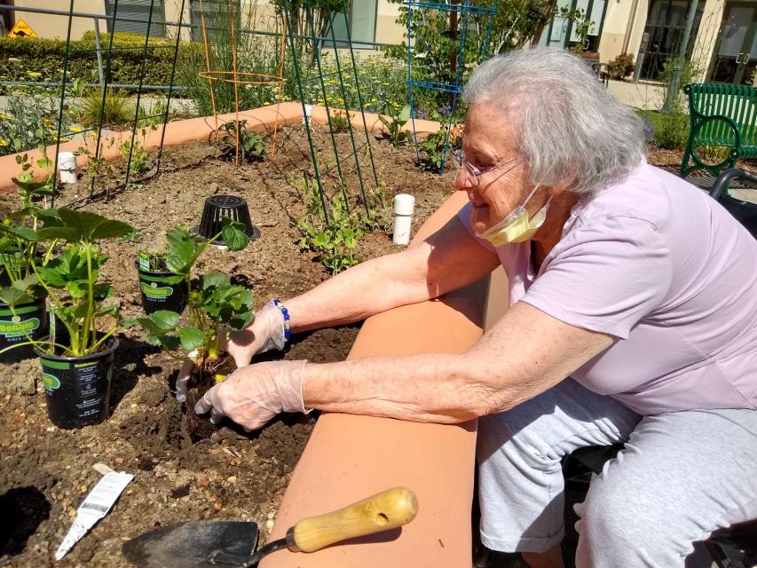 Resident gardening in the Deborah L. Lind Memorial Garden at The Reutlinger Community