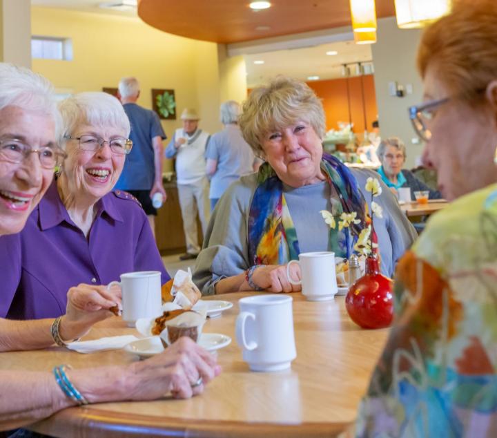 A group of friends socializing at the Village Bistro (contact us link)