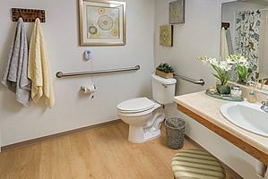 Bathroom with safety grab bars