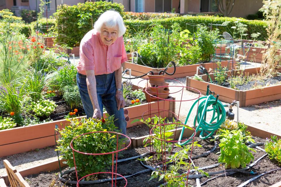 Resident working in the vegetable garden