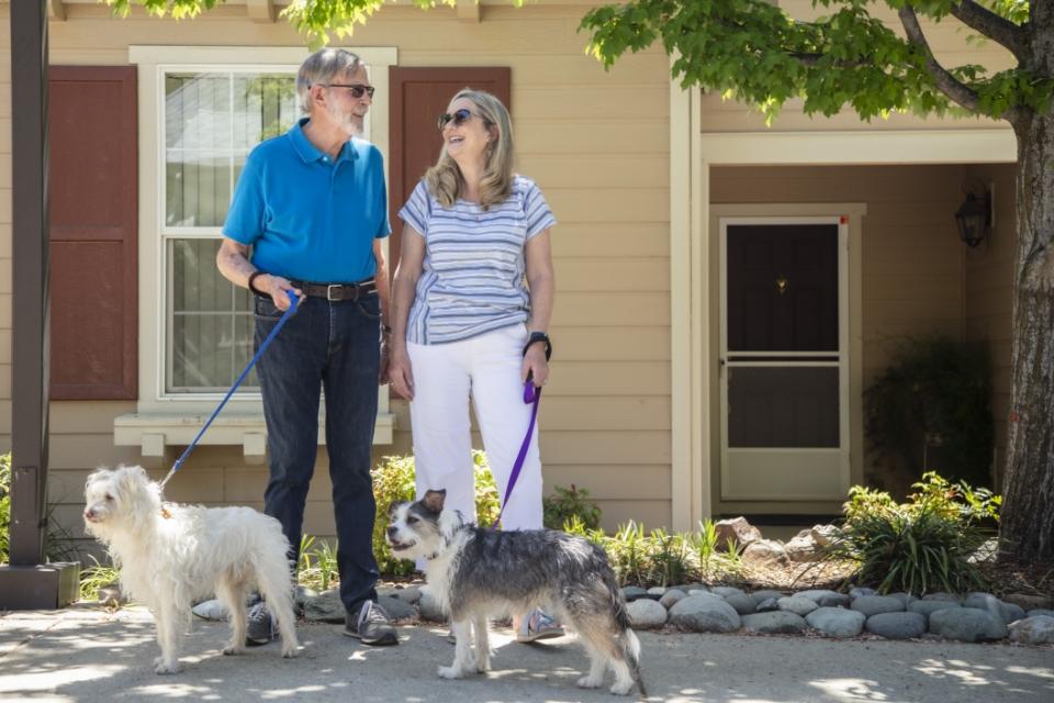 Couple Walking Dogs