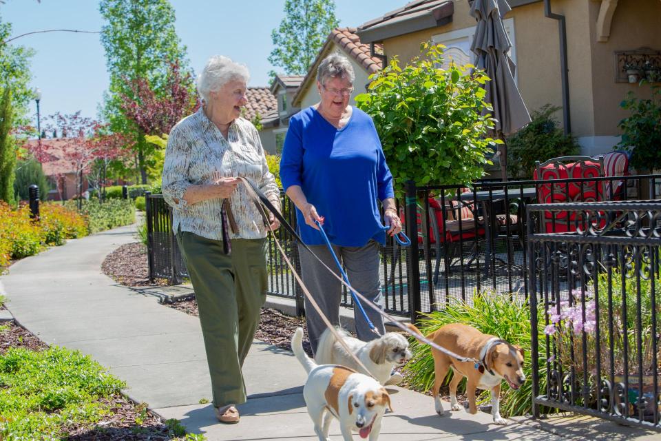 Two women walking their dogs
