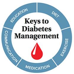 Keys to Diabetes Management - Education, Diet, Communication, Exercise, Medication