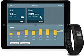 An image show how the stay active works with your Garmin Step Tracker.